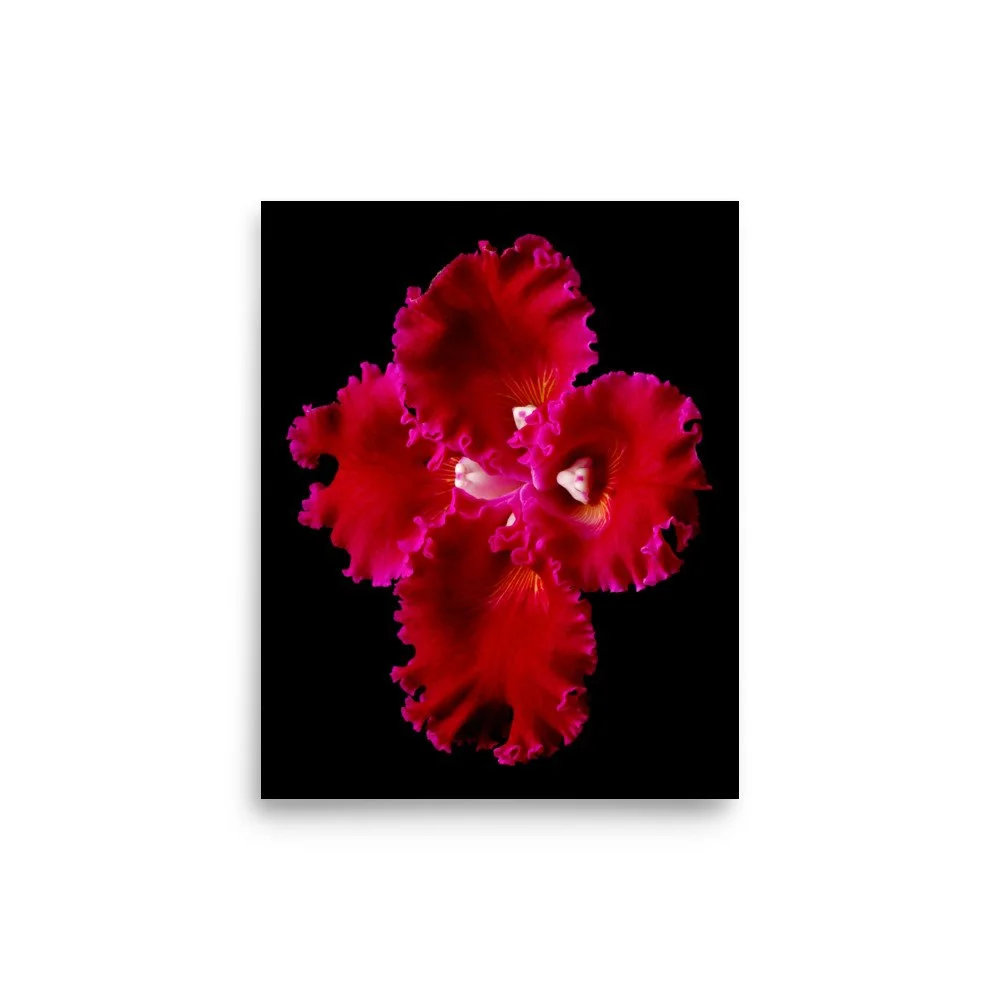 enhanced-matte-paper-poster-(in)-8x10-front-6a83bfd7b4956.jpg