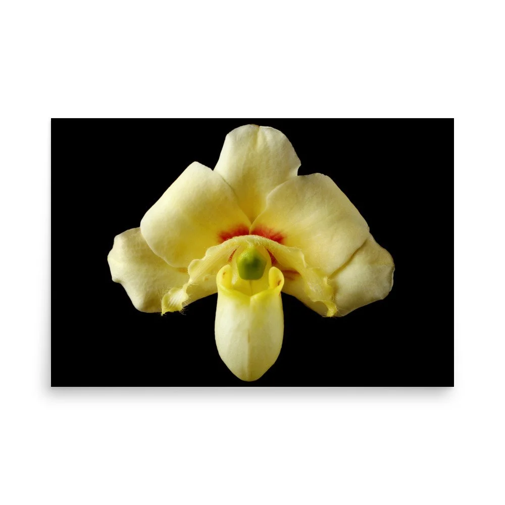 enhanced-matte-paper-poster-(in)-24x36-front-6a83c2169f437.jpg