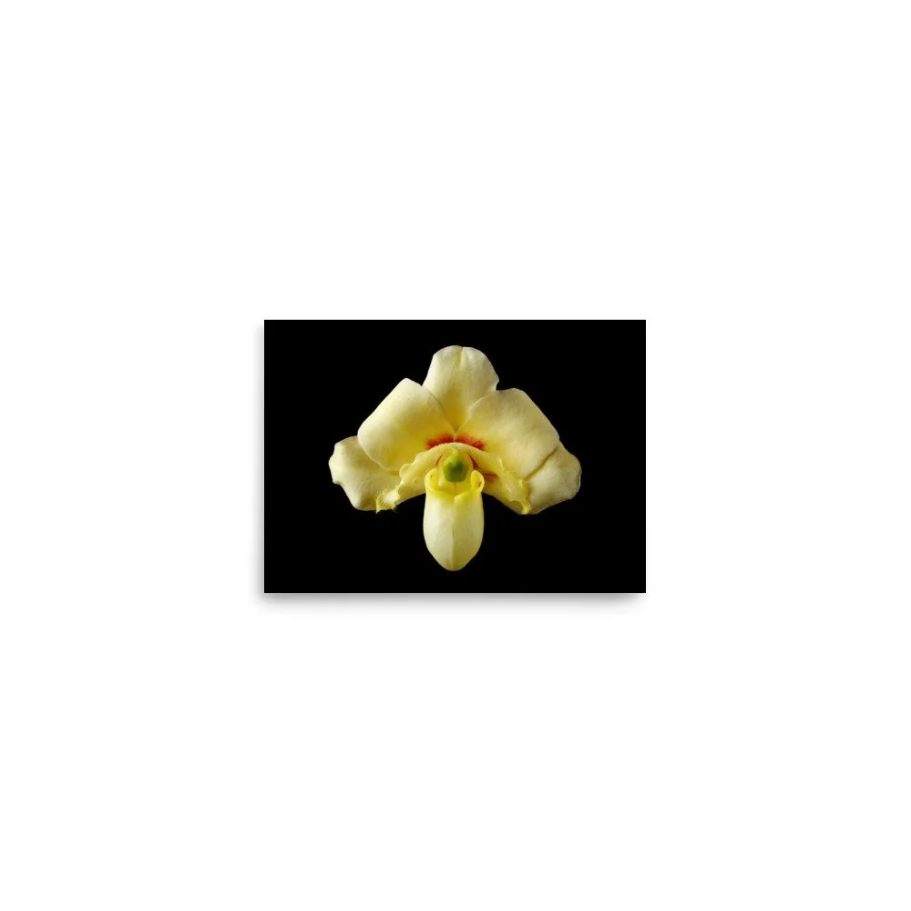 enhanced-matte-paper-poster-(in)-5x7-front-6a83c2169f49a.jpg
