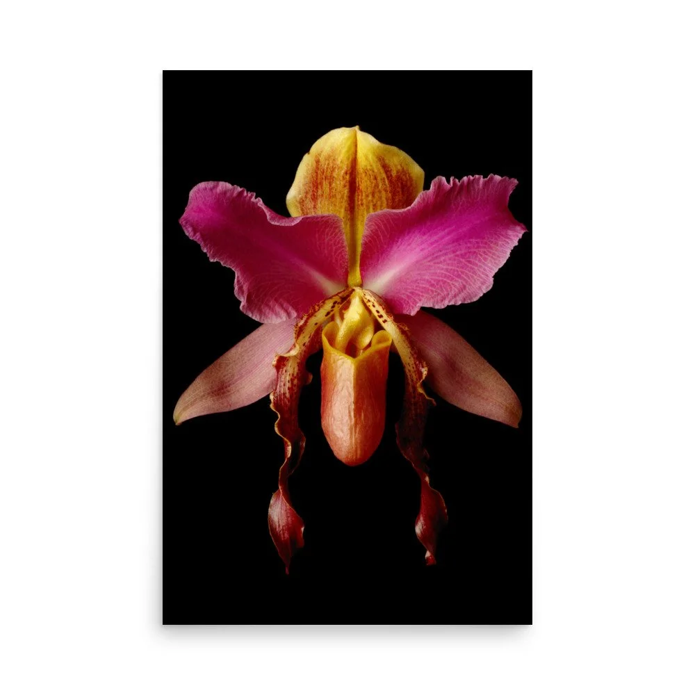 enhanced-matte-paper-poster-(in)-24x36-front-6a84a5073af07.jpg