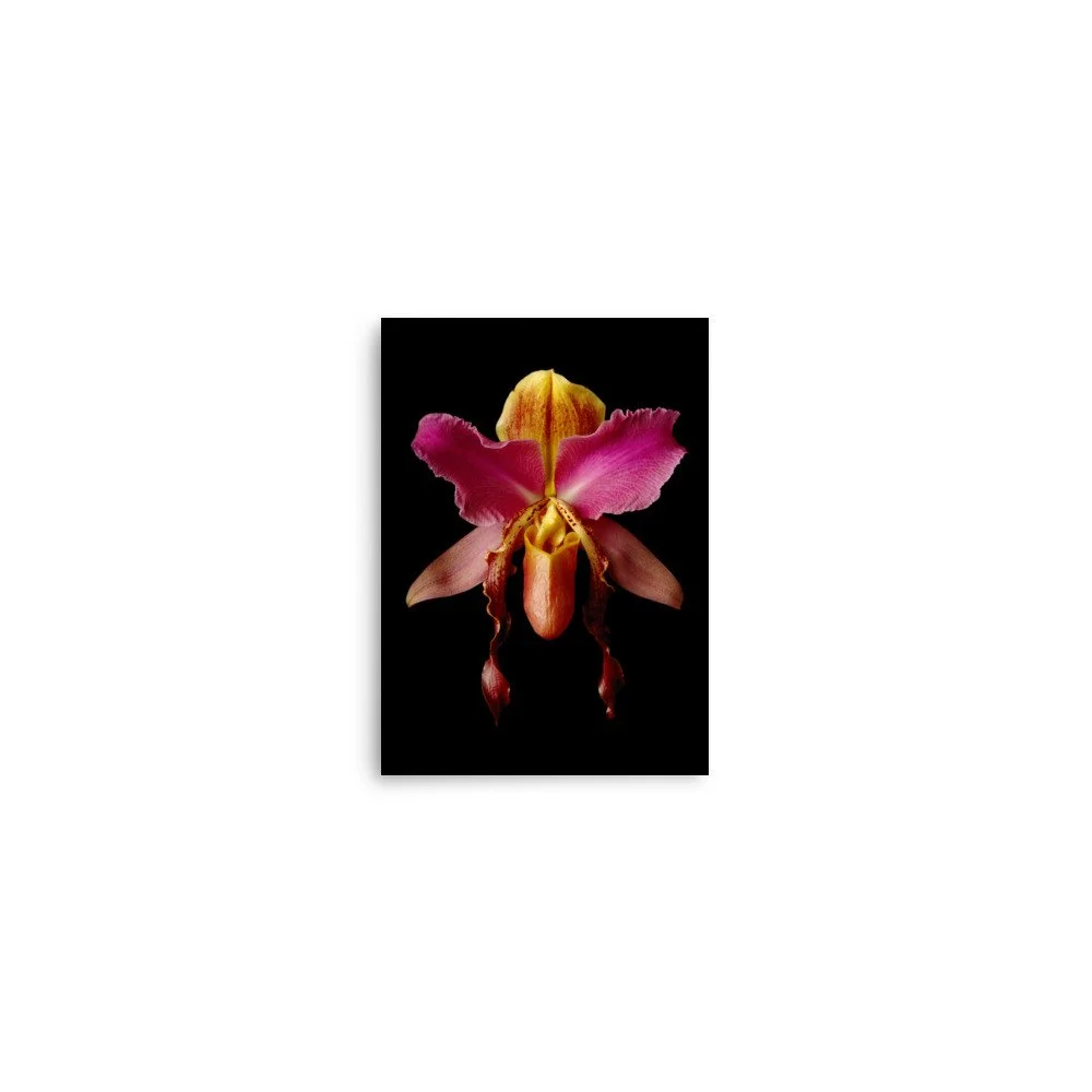 enhanced-matte-paper-poster-(in)-5x7-front-6a84a5073af99.jpg