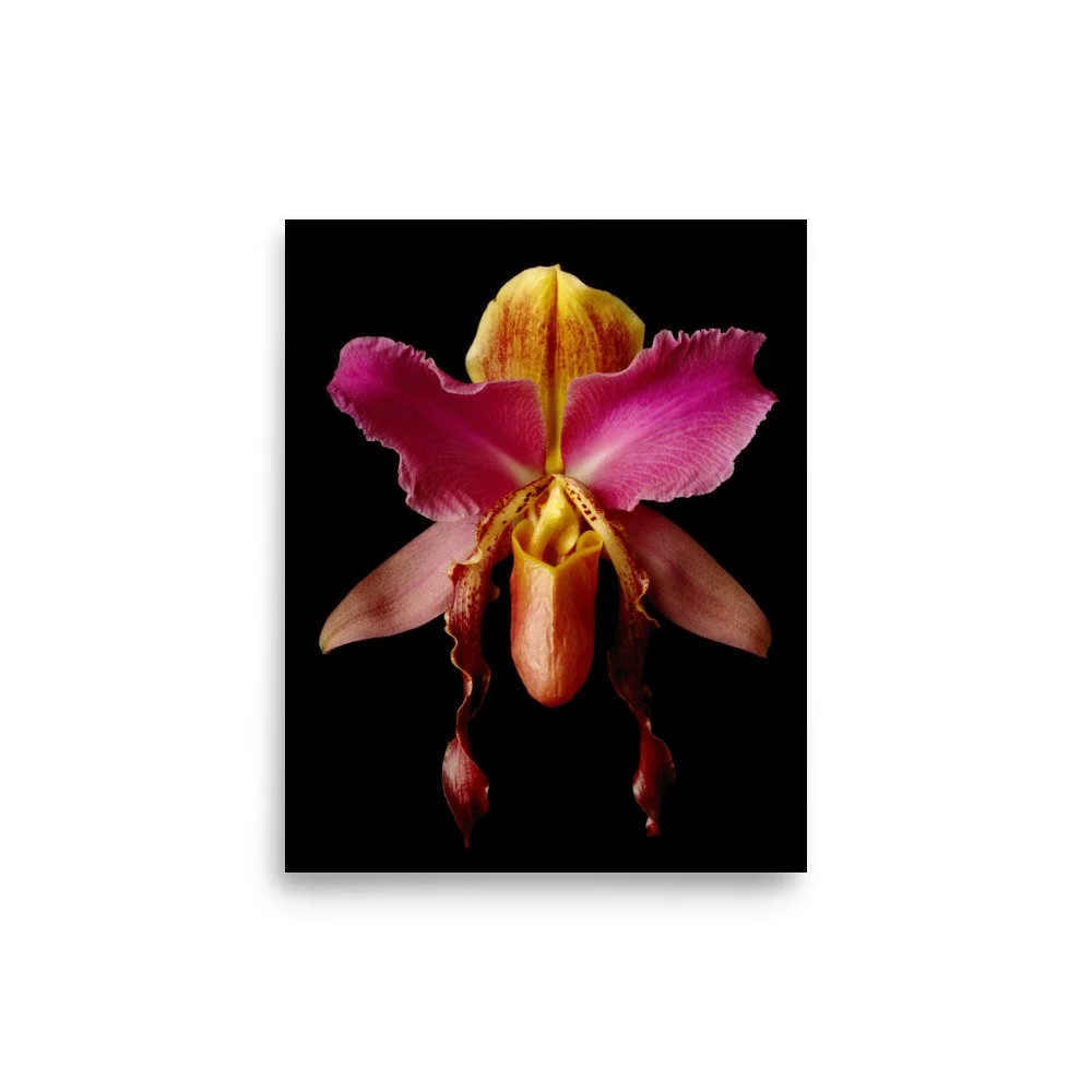 enhanced-matte-paper-poster-(in)-8x10-front-6a84a5073afe4.jpg