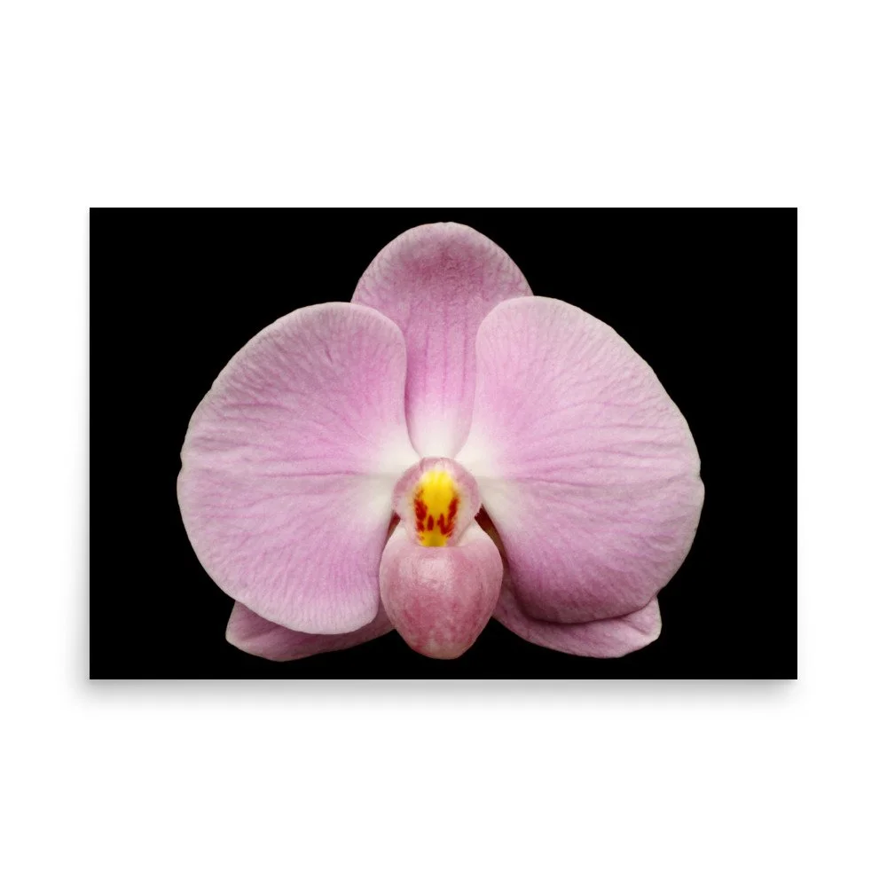 enhanced-matte-paper-poster-(in)-24x36-front-6a84a9221f8ef.jpg