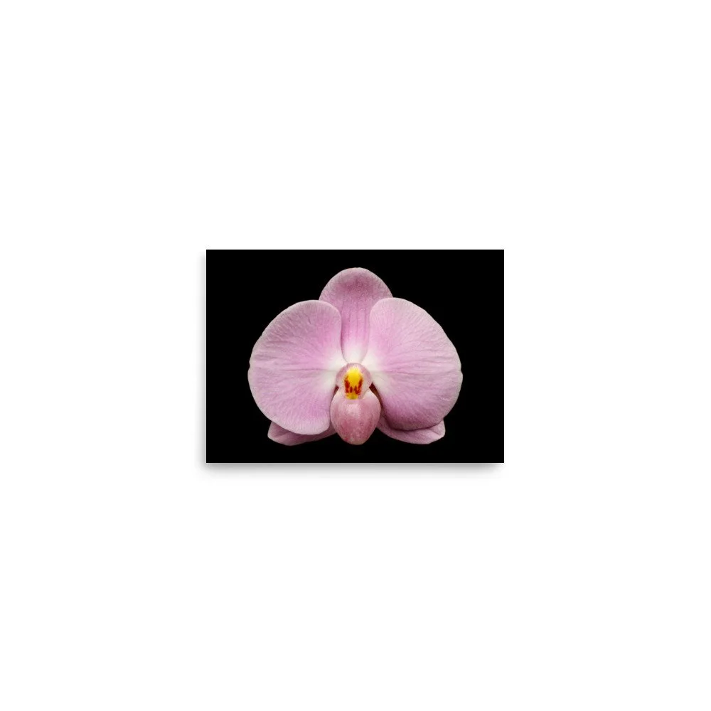 enhanced-matte-paper-poster-(in)-5x7-front-6a84a9221f950.jpg