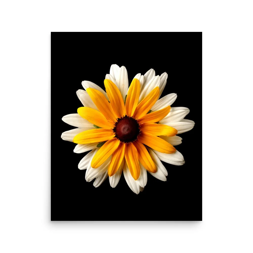 enhanced-matte-paper-poster-(in)-16x20-front-6a84ad5213040.jpg