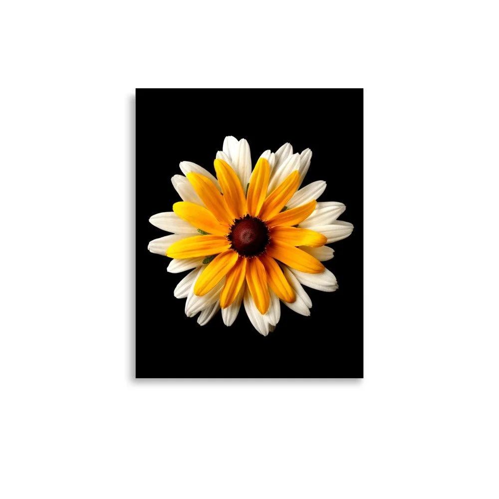 enhanced-matte-paper-poster-(in)-11x14-front-6a84ad5213a46.jpg