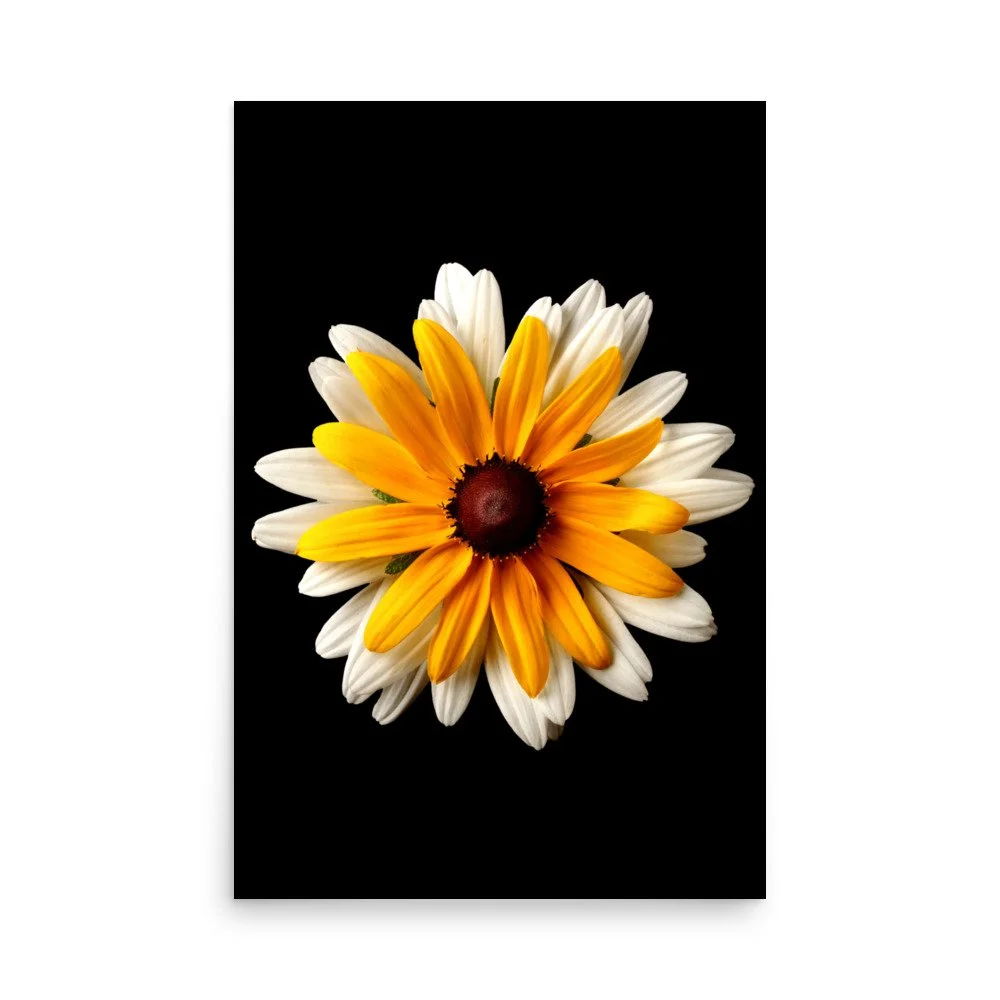 enhanced-matte-paper-poster-(in)-24x36-front-6a84ad5213b0d.jpg