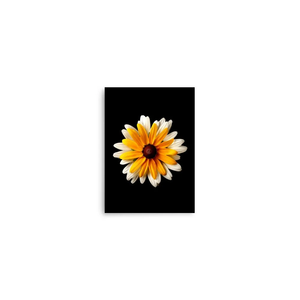 enhanced-matte-paper-poster-(in)-5x7-front-6a84ad5213bab.jpg