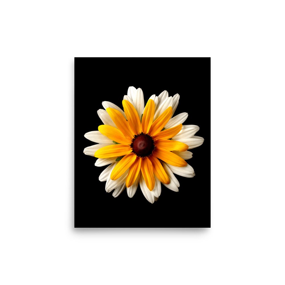 enhanced-matte-paper-poster-(in)-8x10-front-6a84ad5213c0a.jpg