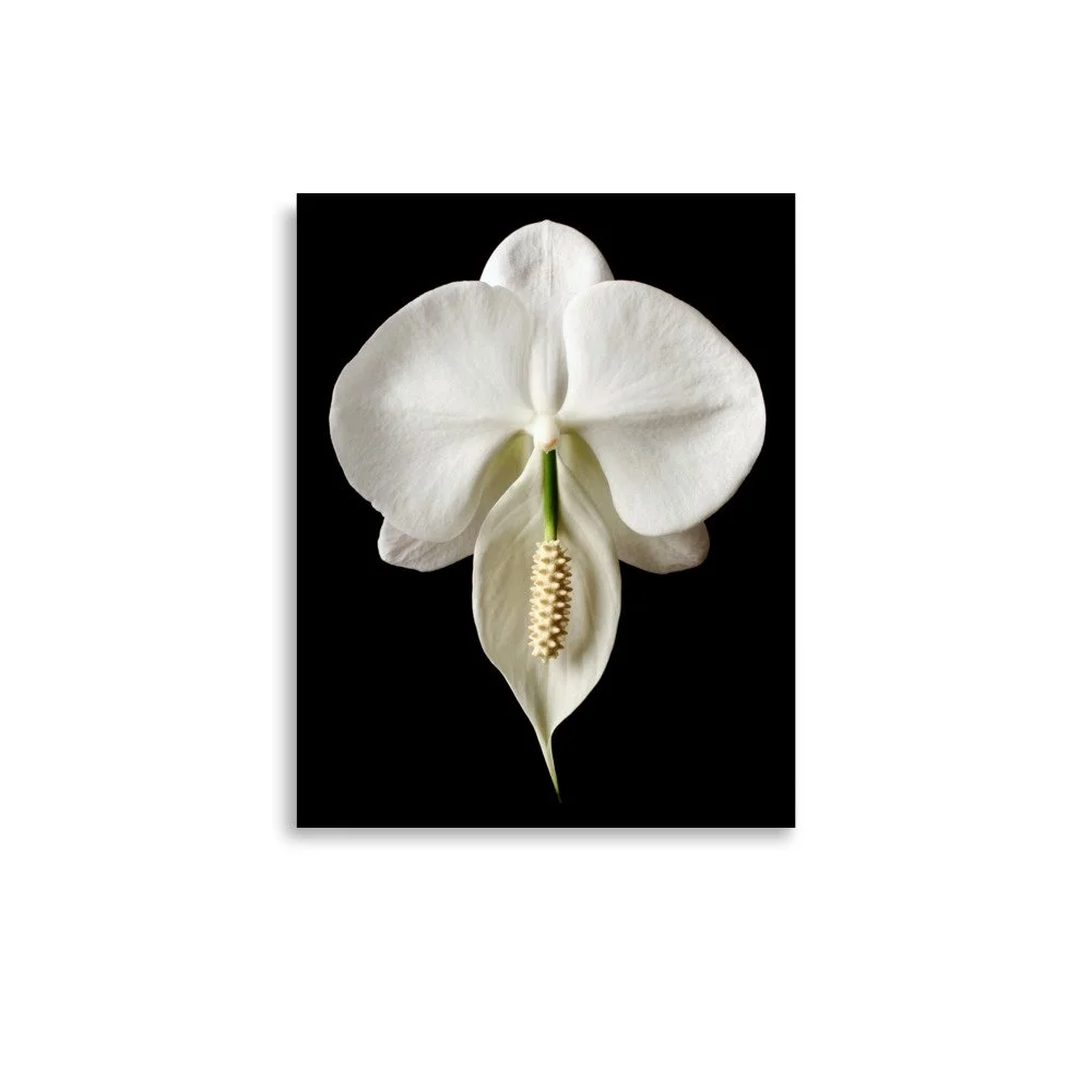enhanced-matte-paper-poster-(in)-11x14-front-6a84b262cdf80.jpg