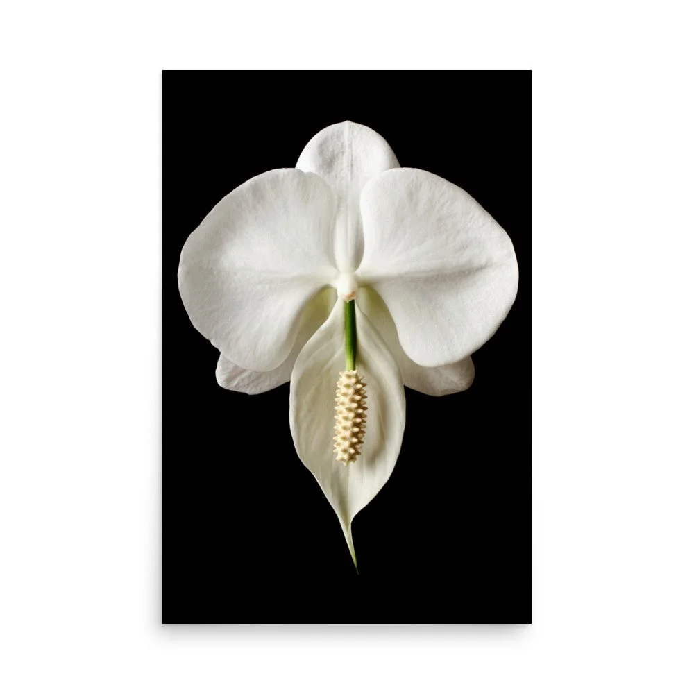enhanced-matte-paper-poster-(in)-24x36-front-6a84b262ce007.jpg