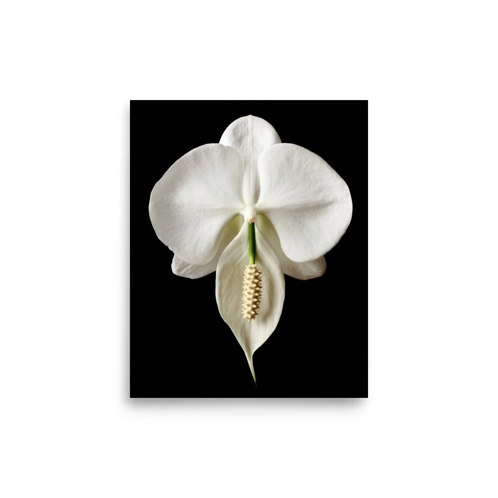 enhanced-matte-paper-poster-(in)-8x10-front-6a84b262ce0af.jpg