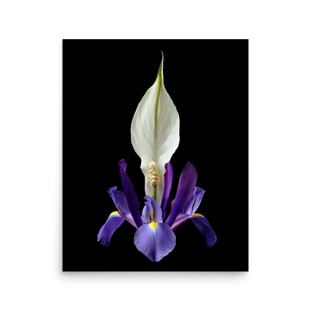 enhanced-matte-paper-poster-(in)-16x20-front-6a8500178aab3.jpg