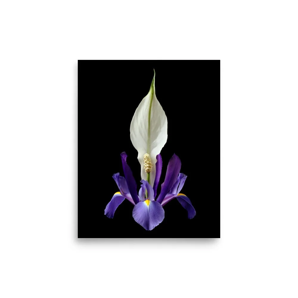 enhanced-matte-paper-poster-(in)-8x10-front-6a8500178bc17.jpg