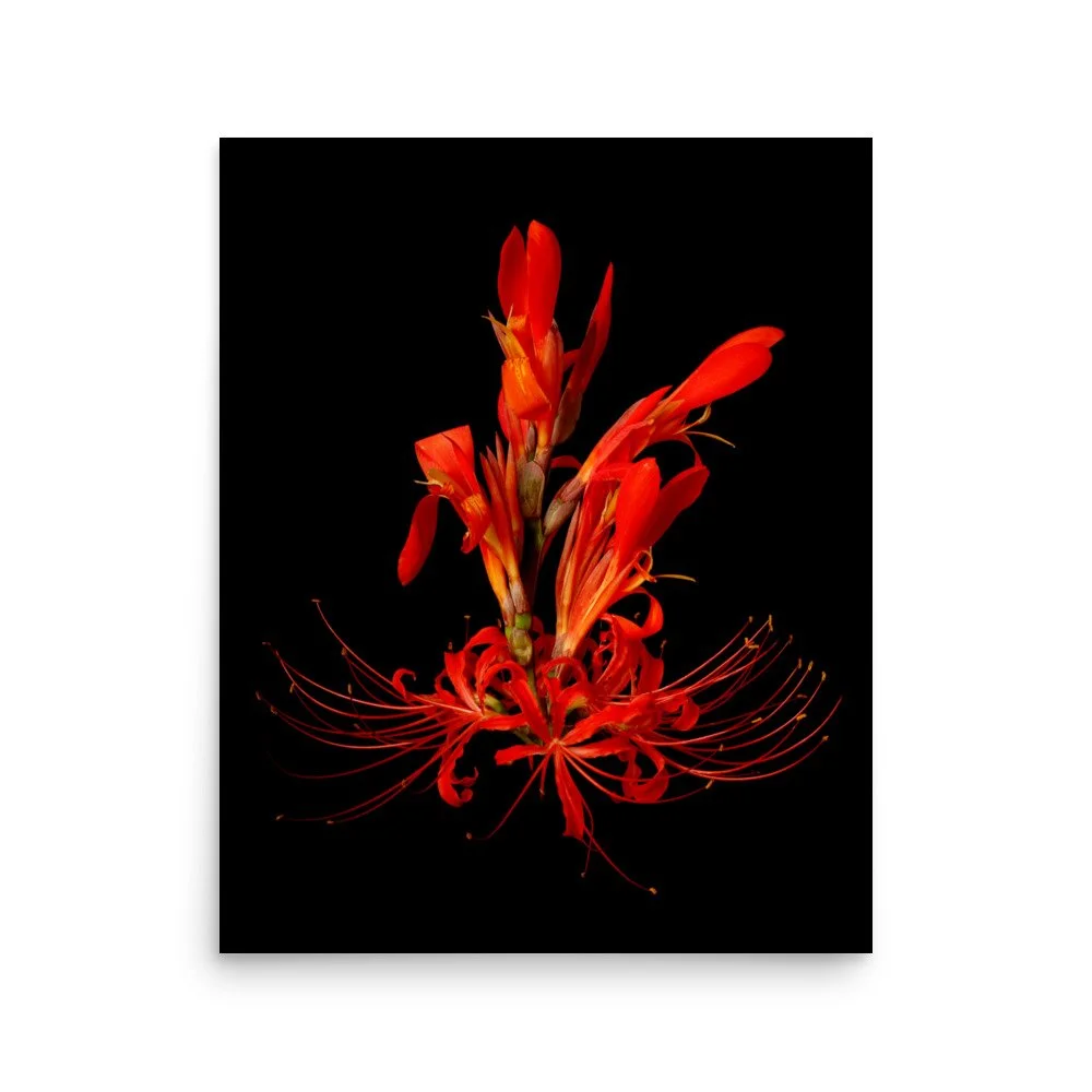 enhanced-matte-paper-poster-(in)-16x20-front-6a85fa676e8a8.jpg