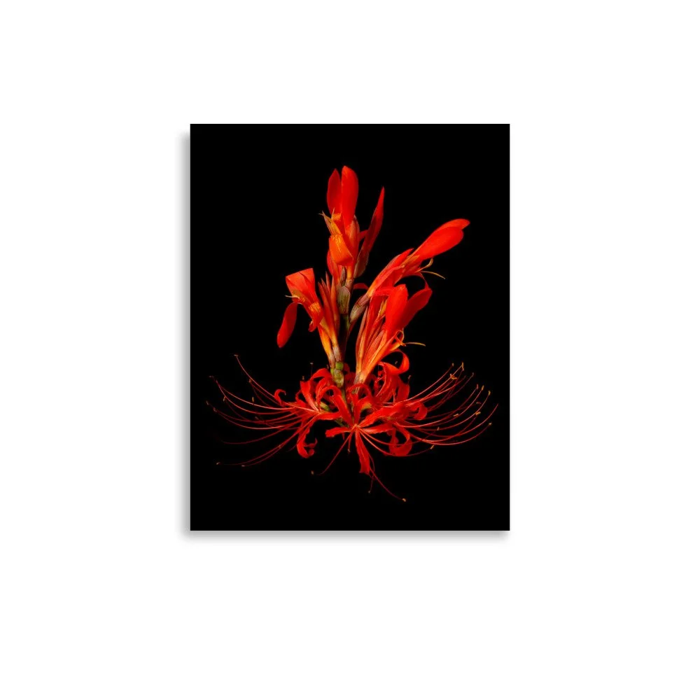 enhanced-matte-paper-poster-(in)-11x14-front-6a85fa676f2a5.jpg