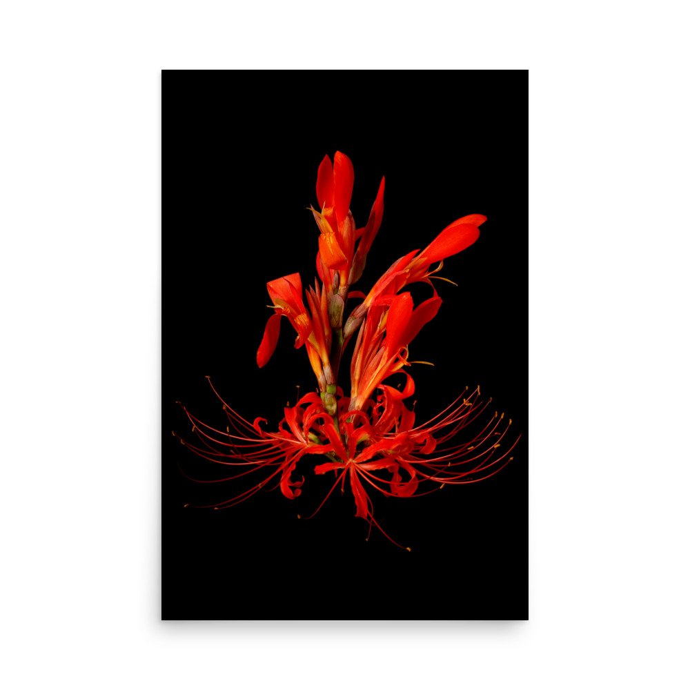 enhanced-matte-paper-poster-(in)-24x36-front-6a85fa676f31b.jpg