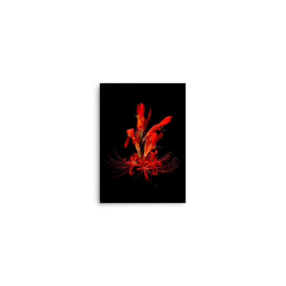 enhanced-matte-paper-poster-(in)-5x7-front-6a85fa676f373.jpg