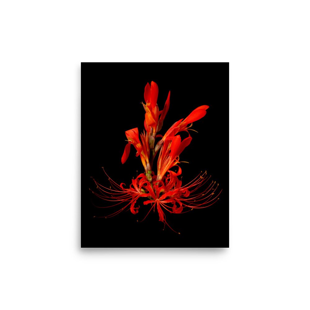 enhanced-matte-paper-poster-(in)-8x10-front-6a85fa676f3a6.jpg