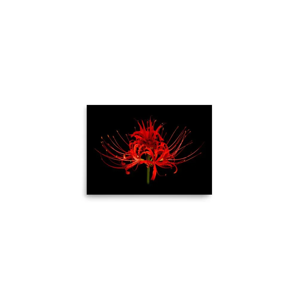 enhanced-matte-paper-poster-(in)-5x7-front-6a860caf7a948.jpg