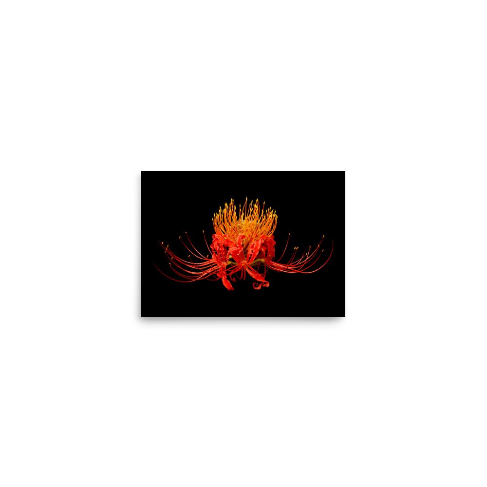 enhanced-matte-paper-poster-(in)-5x7-front-6a86136a95285.jpg