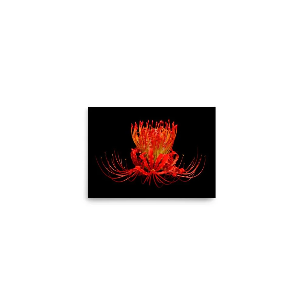 enhanced-matte-paper-poster-(in)-5x7-front-6a861716f41b9.jpg