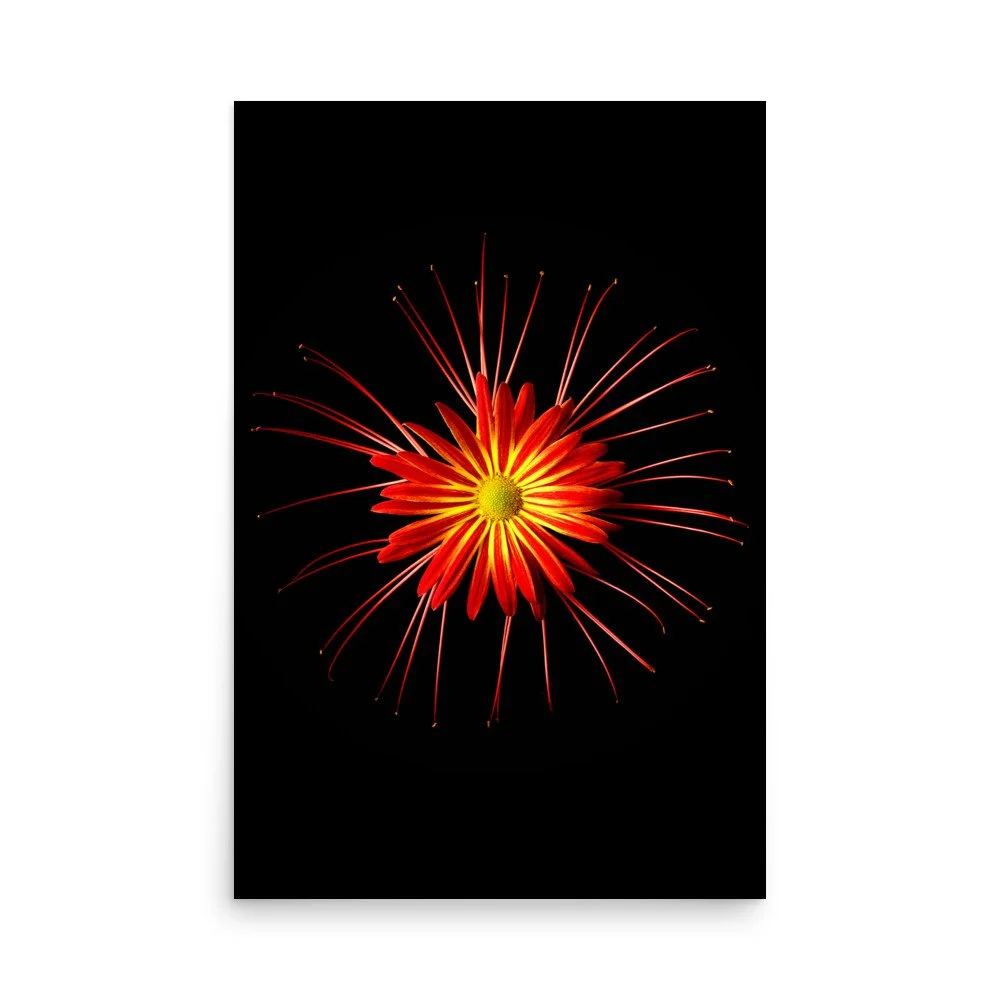 enhanced-matte-paper-poster-(in)-24x36-front-6a86351c14834.jpg