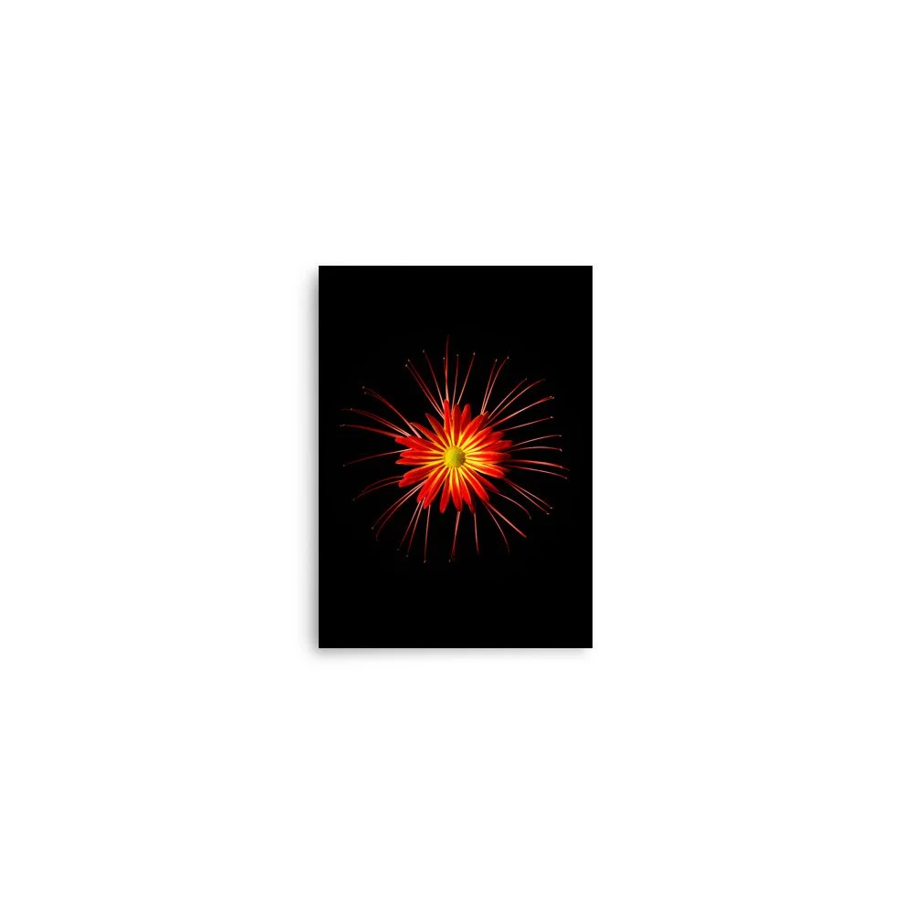 enhanced-matte-paper-poster-(in)-5x7-front-6a86351c14883.jpg