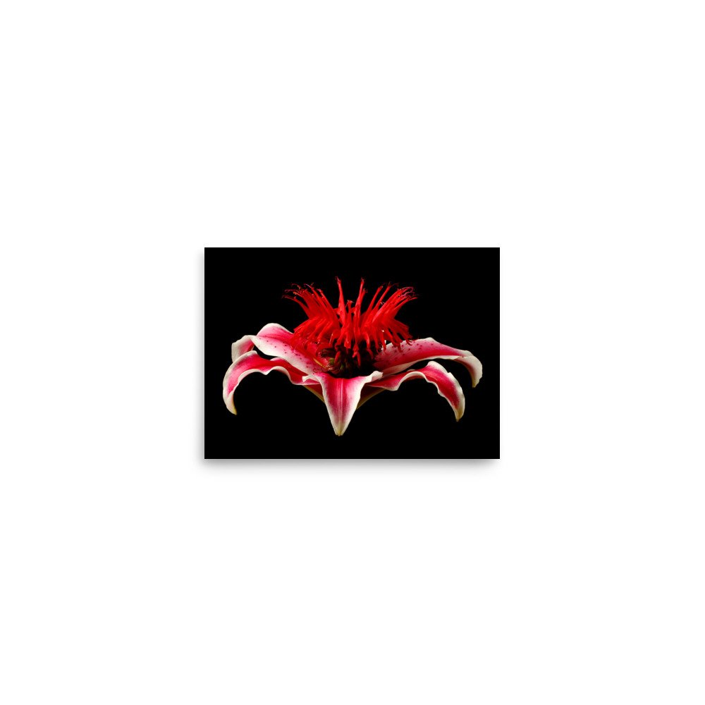 enhanced-matte-paper-poster-(in)-5x7-front-6a87782d670f3.jpg