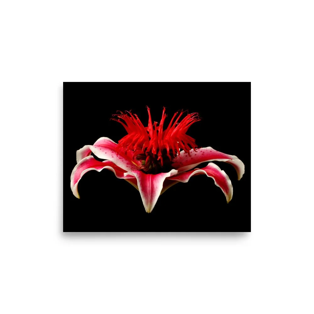 enhanced-matte-paper-poster-(in)-8x10-front-6a87782d67133.jpg