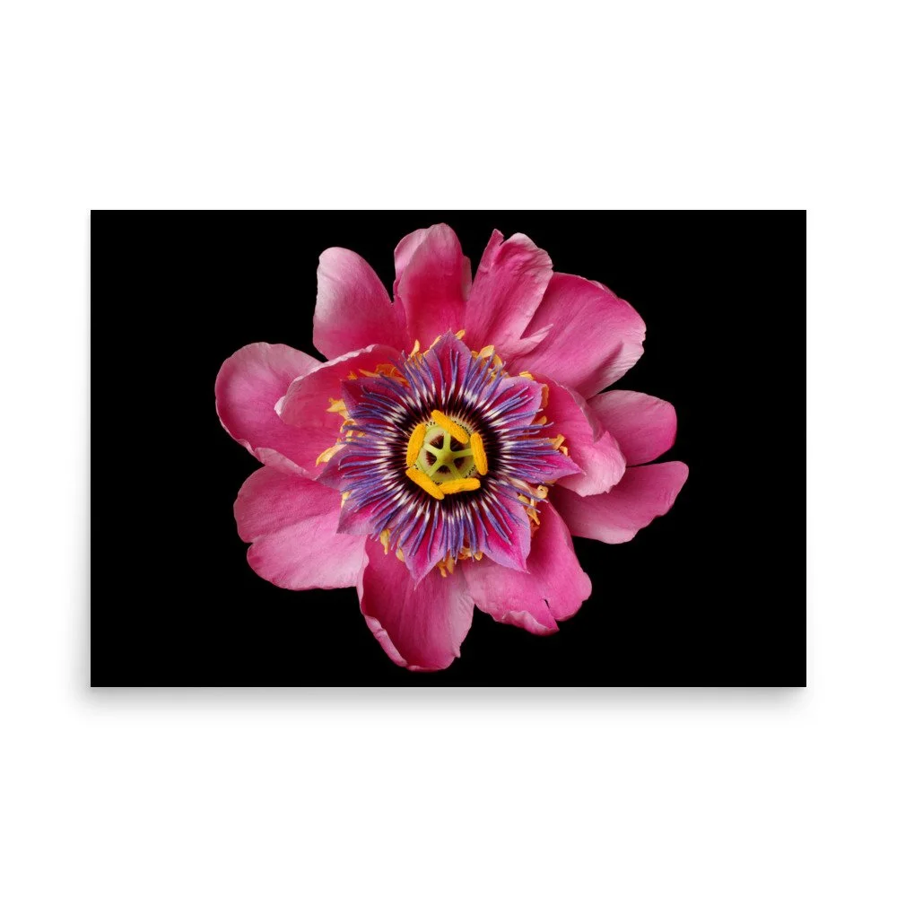 enhanced-matte-paper-poster-(in)-24x36-front-6a87a52f39101.jpg