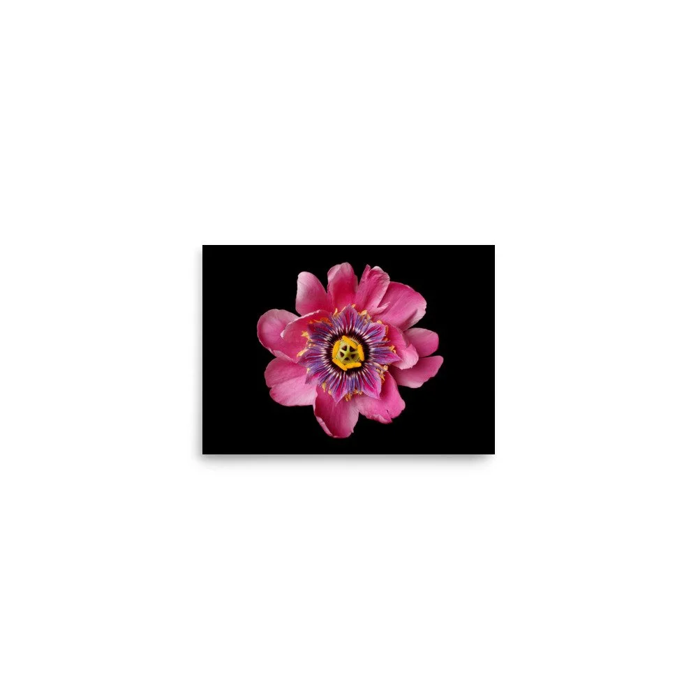 enhanced-matte-paper-poster-(in)-5x7-front-6a87a52f39168.jpg