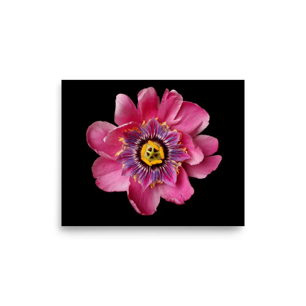 enhanced-matte-paper-poster-(in)-8x10-front-6a87a52f391a9.jpg