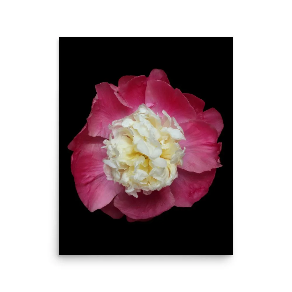enhanced-matte-paper-poster-(in)-16x20-front-6a88146b6aca9.jpg