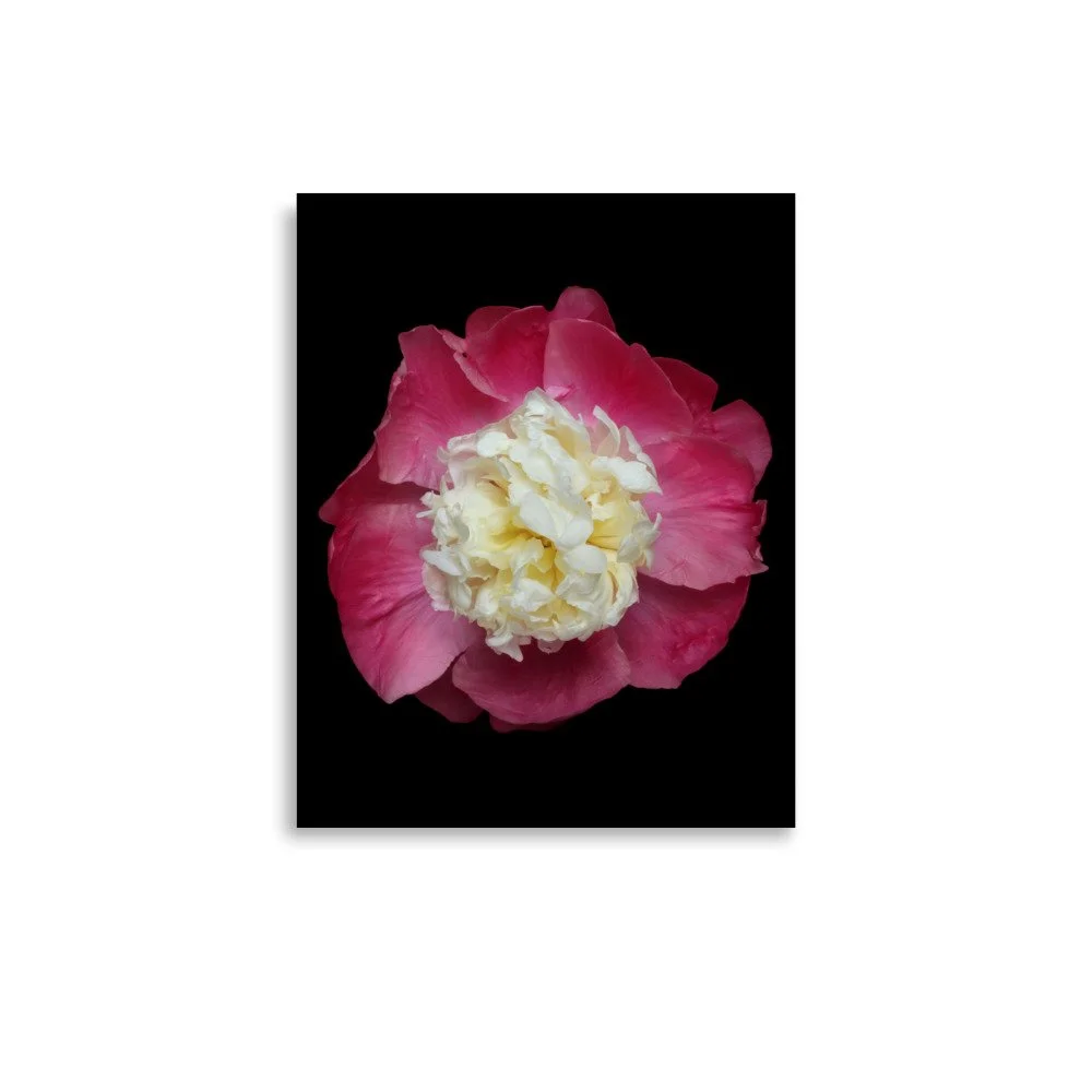 enhanced-matte-paper-poster-(in)-11x14-front-6a88146b6b570.jpg