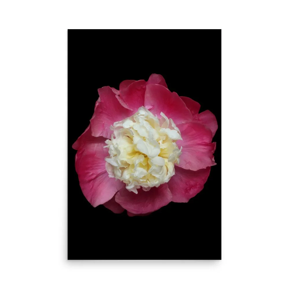 enhanced-matte-paper-poster-(in)-24x36-front-6a88146b6b600.jpg