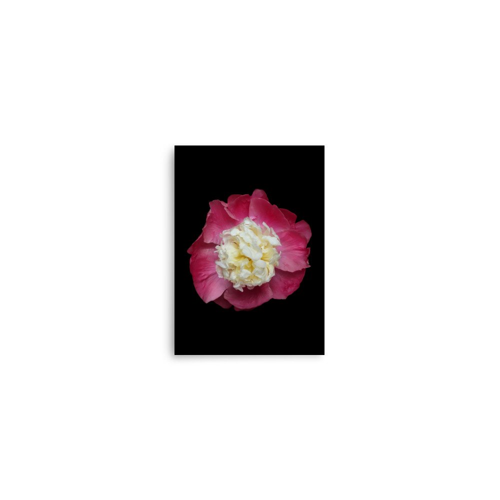 enhanced-matte-paper-poster-(in)-5x7-front-6a88146b6b671.jpg