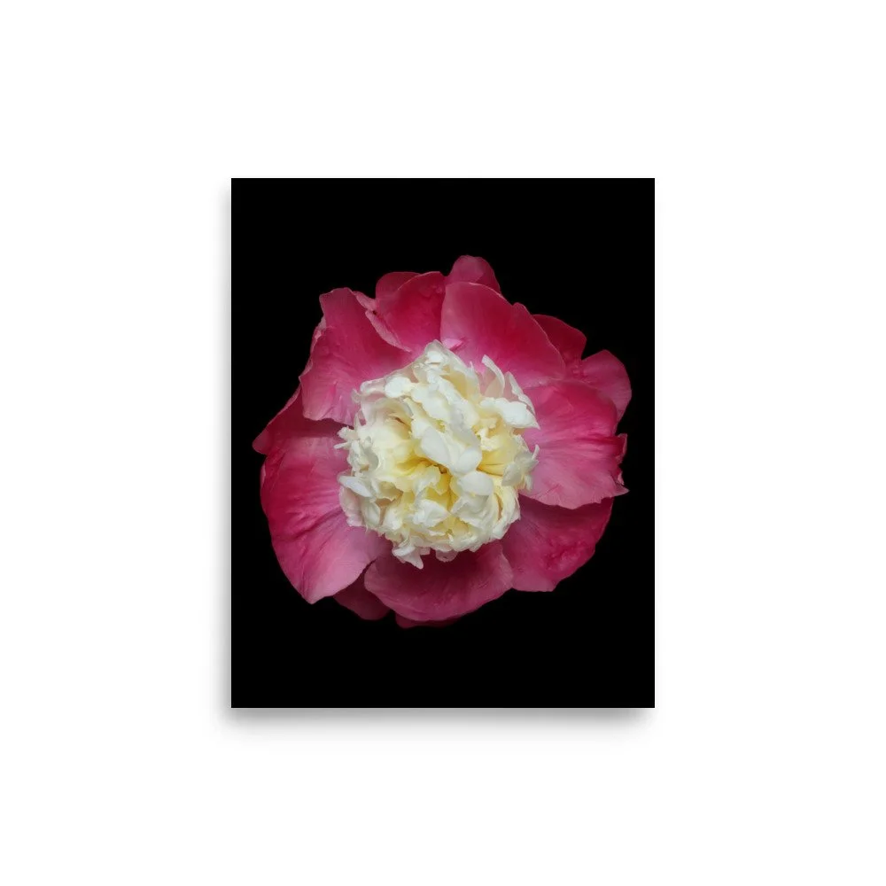 enhanced-matte-paper-poster-(in)-8x10-front-6a88146b6b6ae.jpg