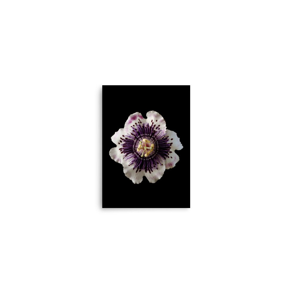 enhanced-matte-paper-poster-(in)-5x7-front-6a882916a6c96.jpg