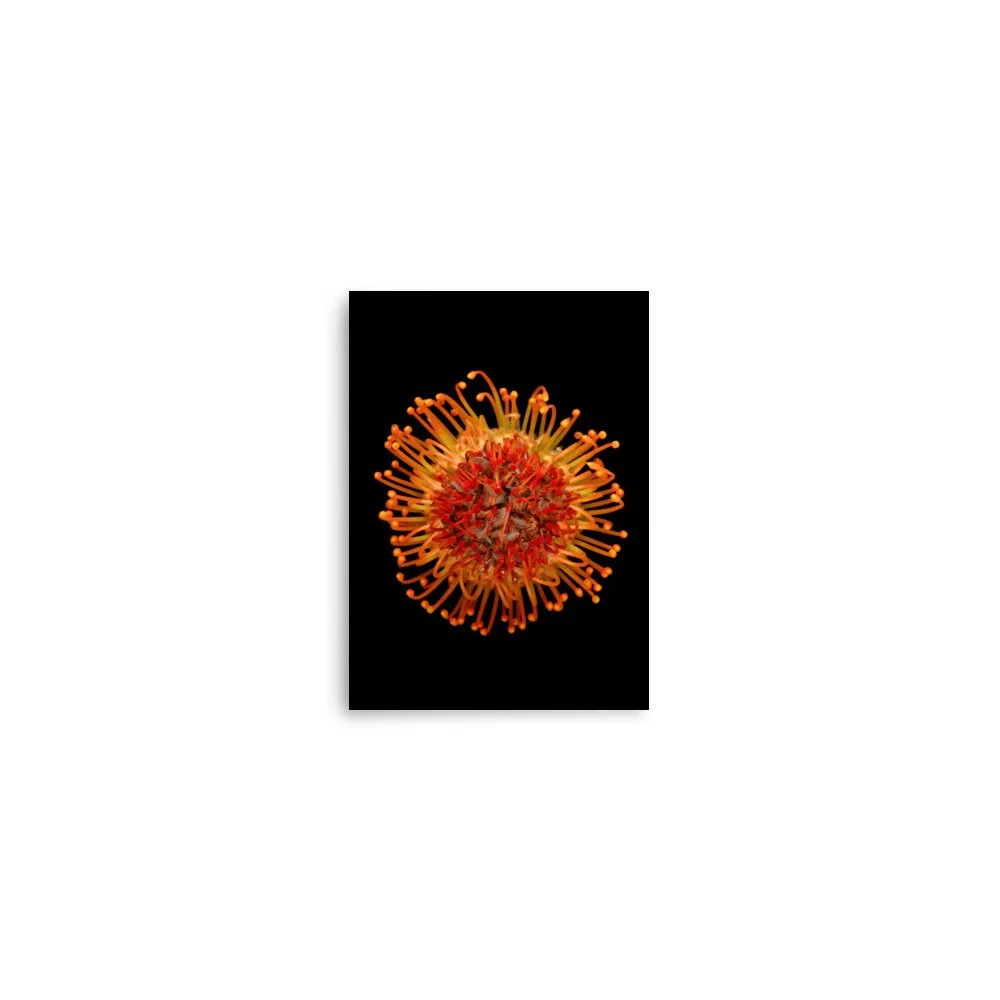 enhanced-matte-paper-poster-(in)-5x7-front-6a882c354f6cd.jpg