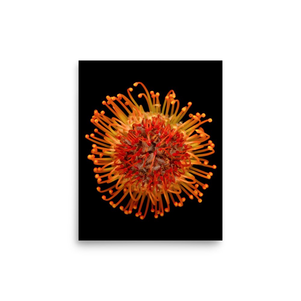 enhanced-matte-paper-poster-(in)-8x10-front-6a882c354f715.jpg
