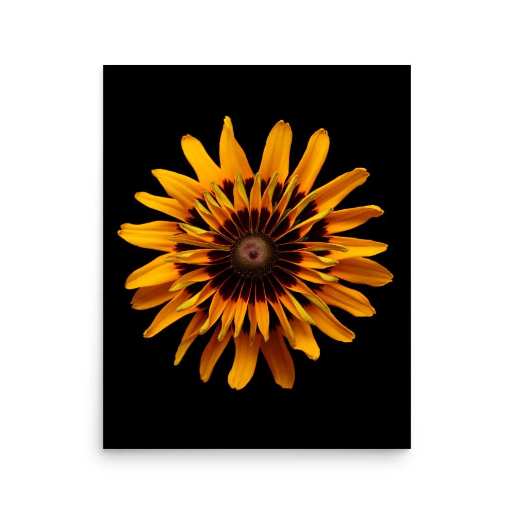 enhanced-matte-paper-poster-(in)-16x20-front-6a88318e11acc.jpg