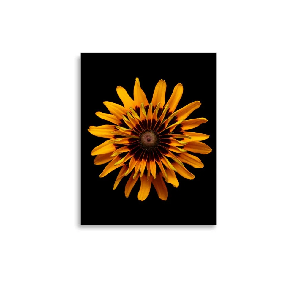 enhanced-matte-paper-poster-(in)-11x14-front-6a88318e12523.jpg