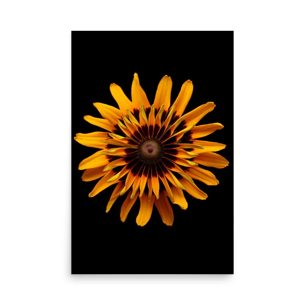 enhanced-matte-paper-poster-(in)-24x36-front-6a88318e125ad.jpg