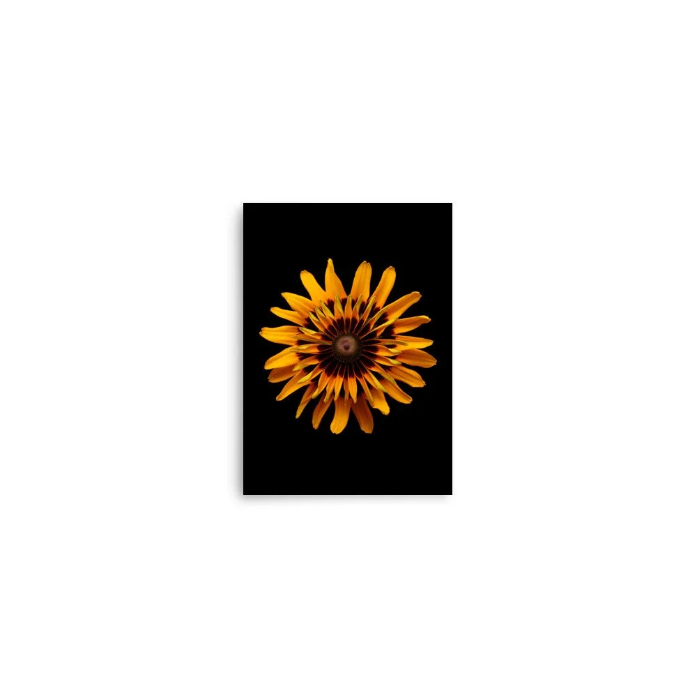 enhanced-matte-paper-poster-(in)-5x7-front-6a88318e1260e.jpg