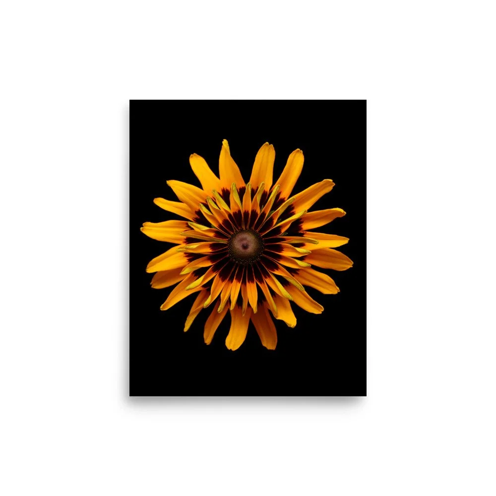enhanced-matte-paper-poster-(in)-8x10-front-6a88318e1264d.jpg