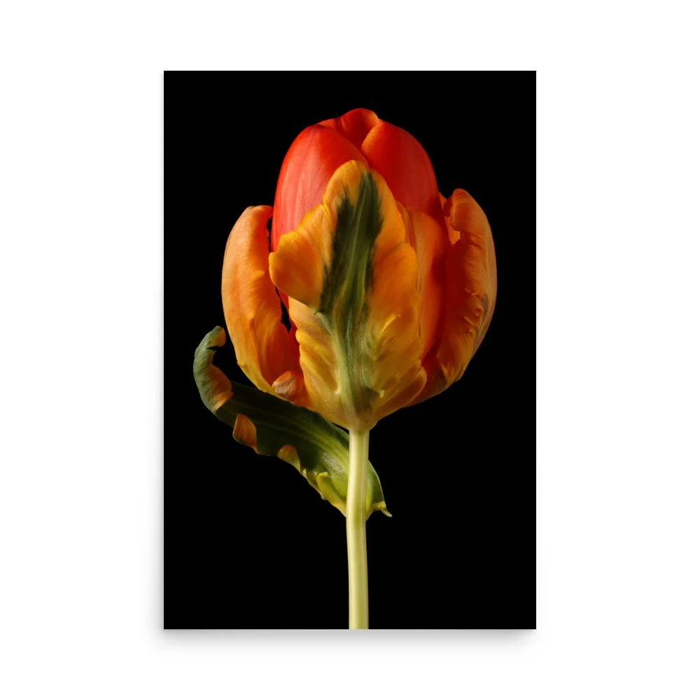 enhanced-matte-paper-poster-(in)-24x36-front-6a8839c41c802.jpg