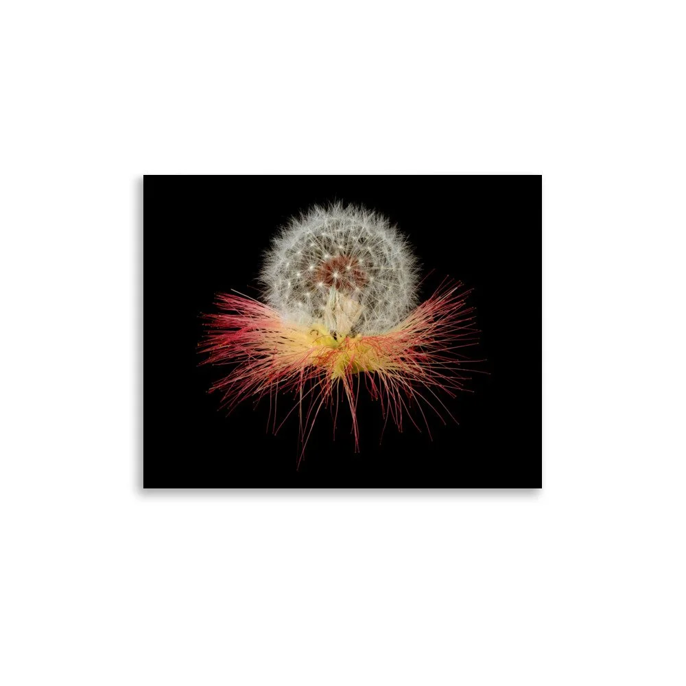 enhanced-matte-paper-poster-(in)-11x14-front-6a88611bc2395.jpg