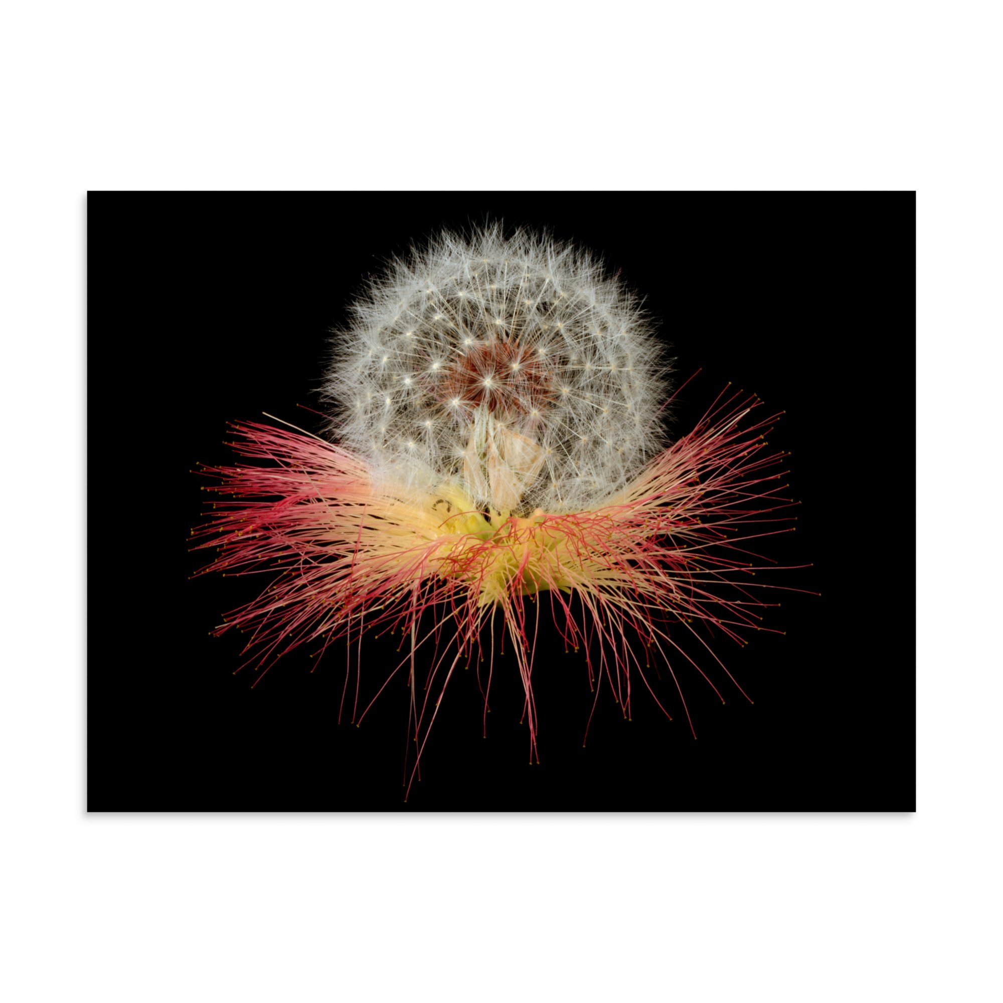 enhanced-matte-paper-poster-(in)-30x40-front-6a88611bc2445.jpg