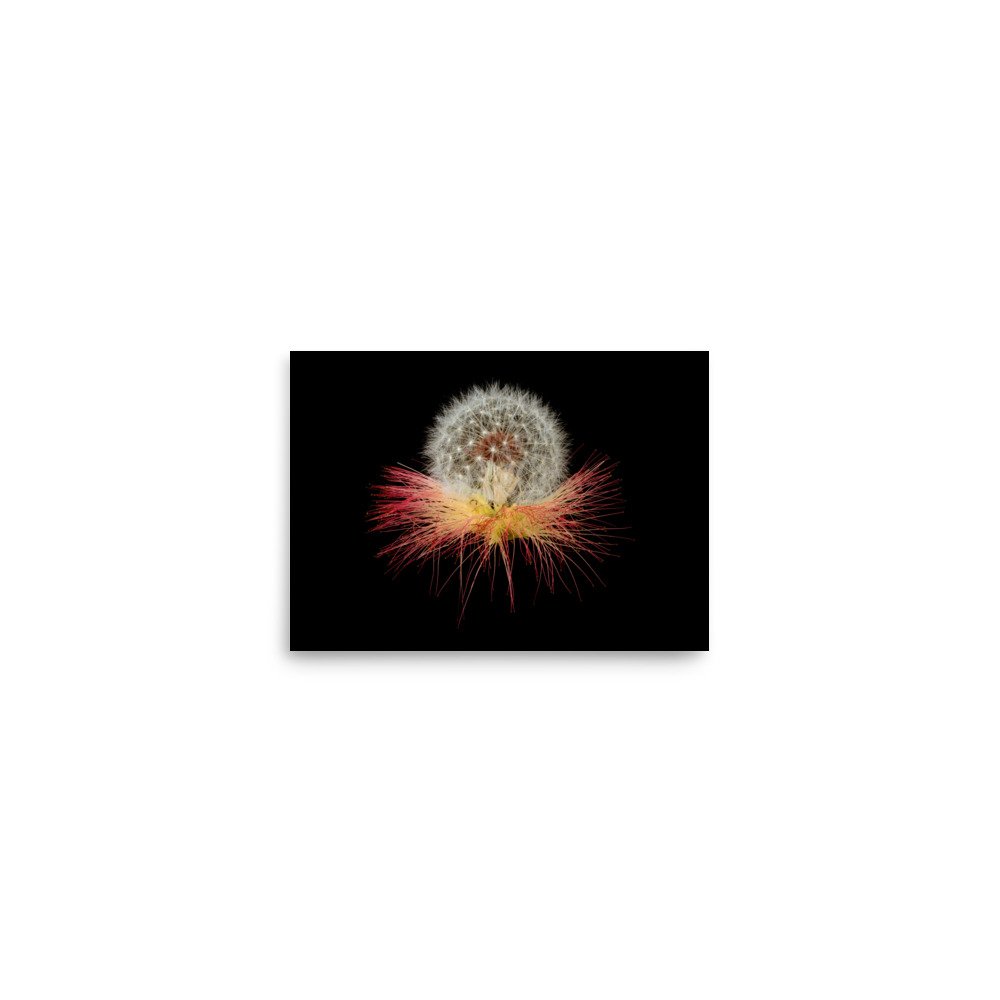 enhanced-matte-paper-poster-(in)-5x7-front-6a88611bc2461.jpg